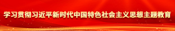 操逼视视频学习贯彻习近平新时代中国特色社会主义思想主题教育